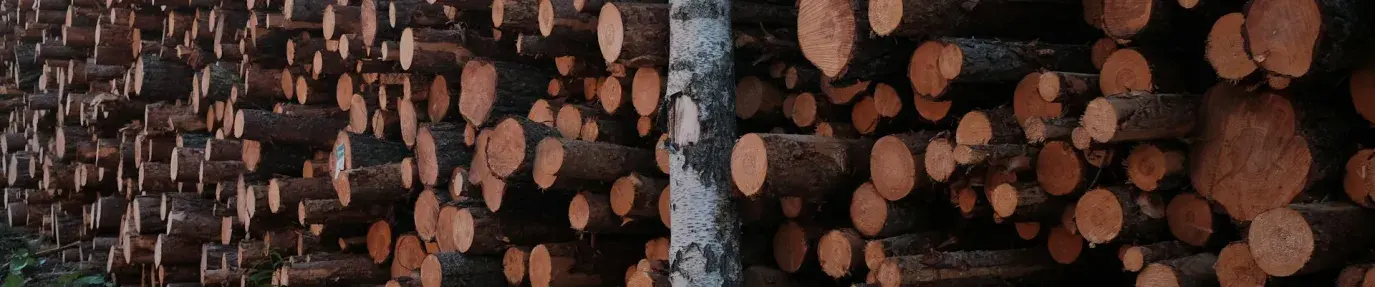 Deforestation
